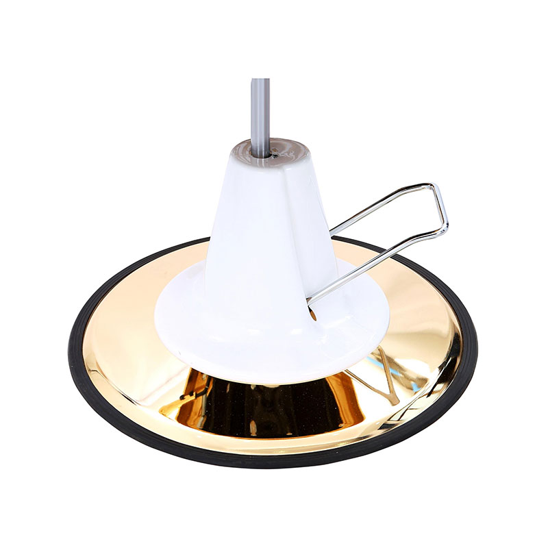 HZ22DG Vintage barberstol hydraulisk pumpe med guldbund