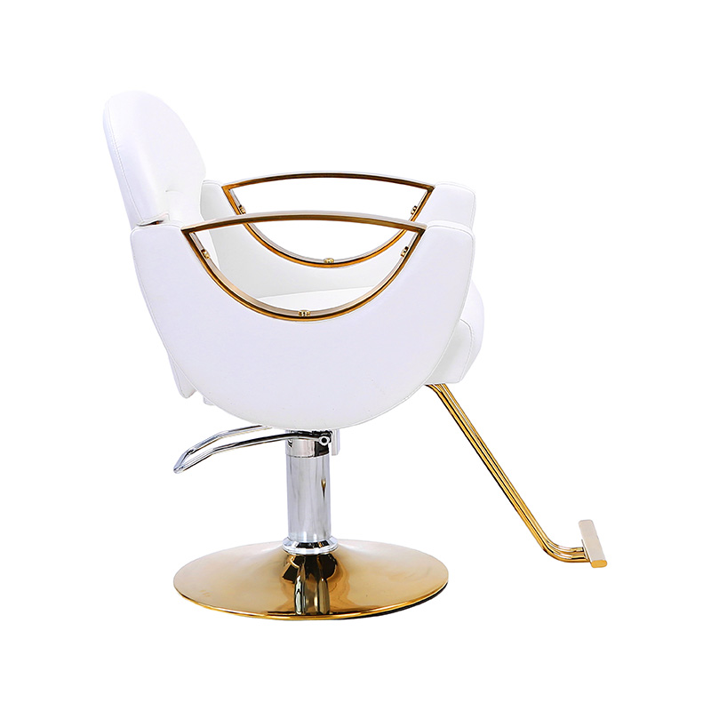 HZ8765BZ / HZ8765WZ / HZ8765PZ / HZ8765Z Light duty styling salonstol