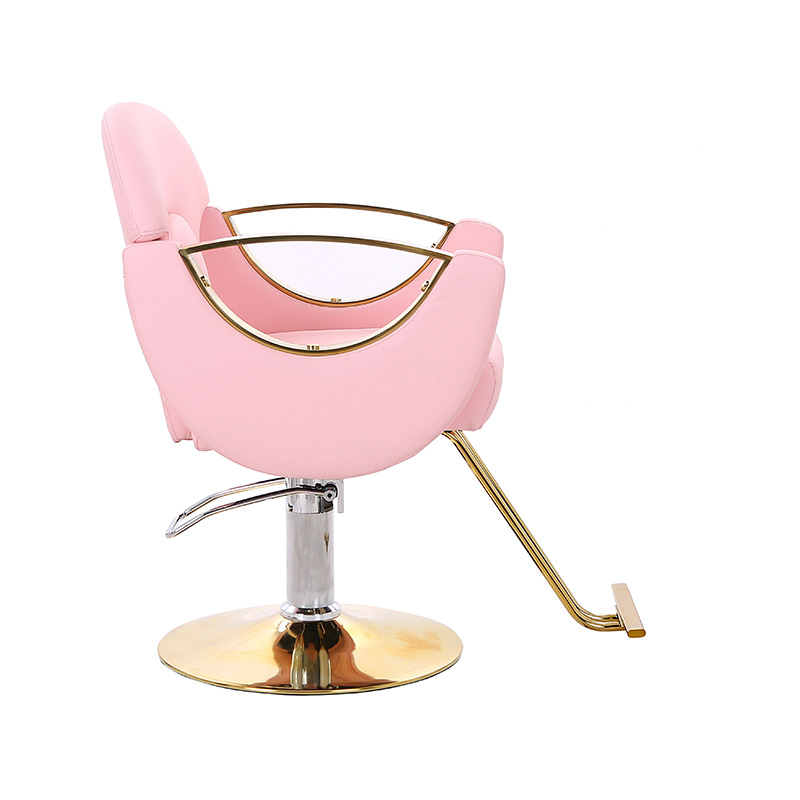 HZ8765BZ / HZ8765WZ / HZ8765PZ / HZ8765Z Light duty styling salonstol